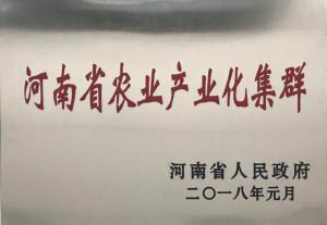 32.河南省農業(yè)產業(yè)化集群 2018.1